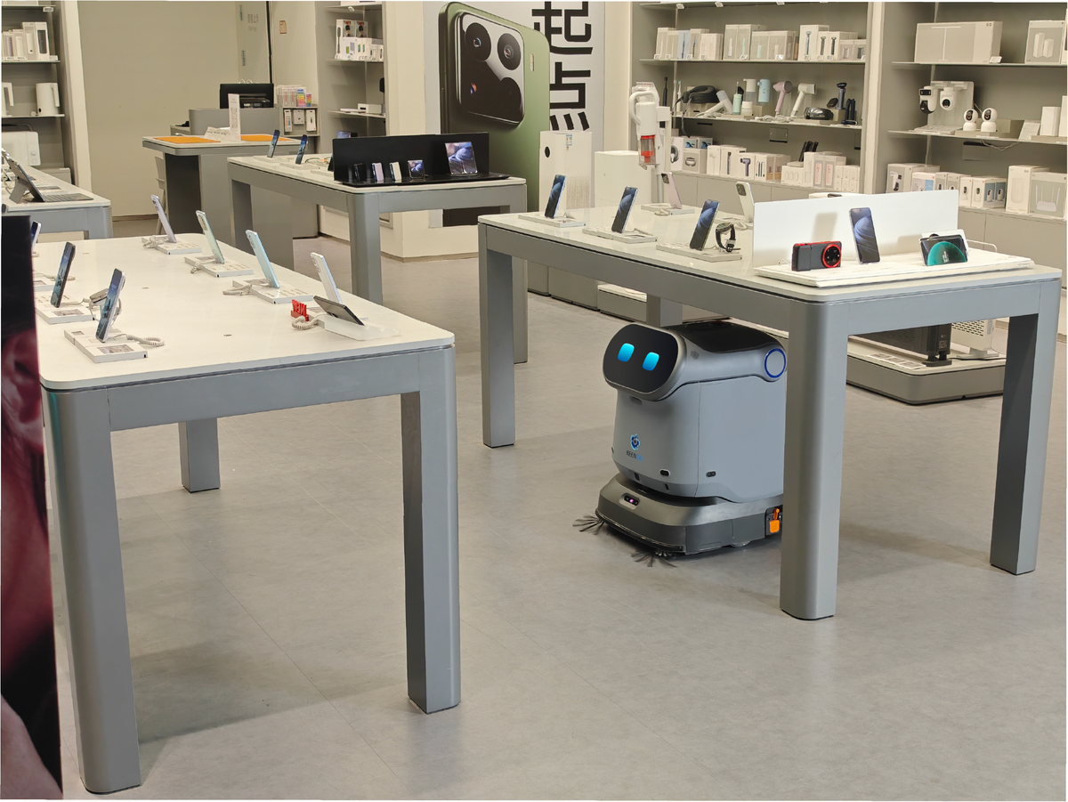 Robotics and Schools