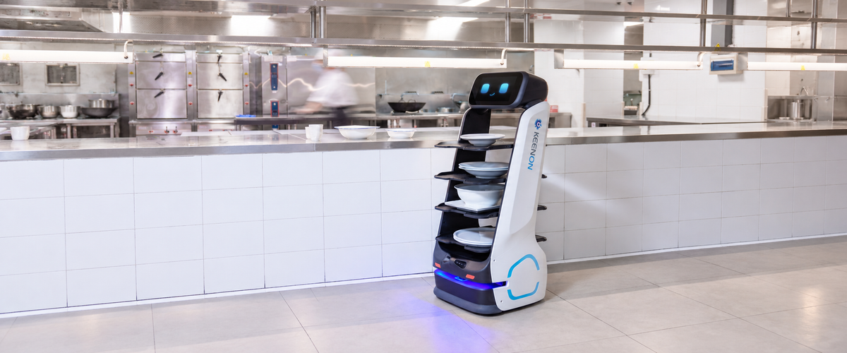Delivery Robots