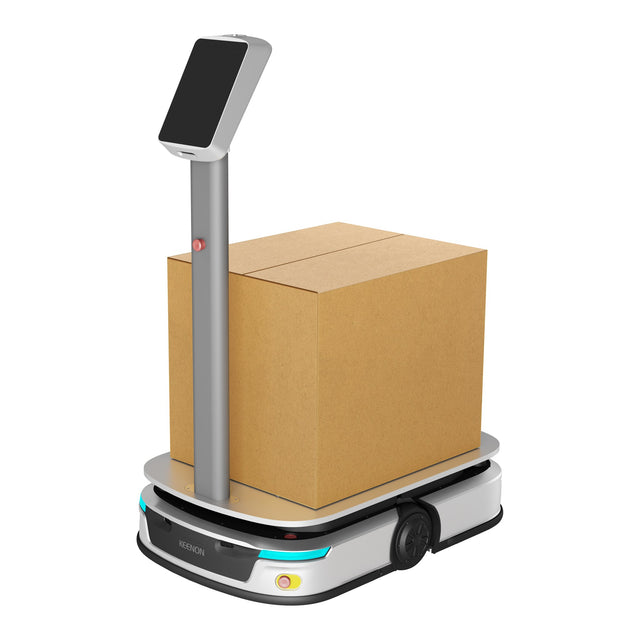 DELIVERYBOT S300