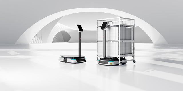 DELIVERYBOT S300