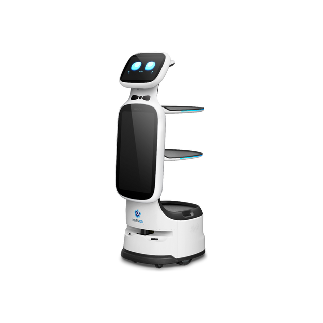 DINERBOT T11